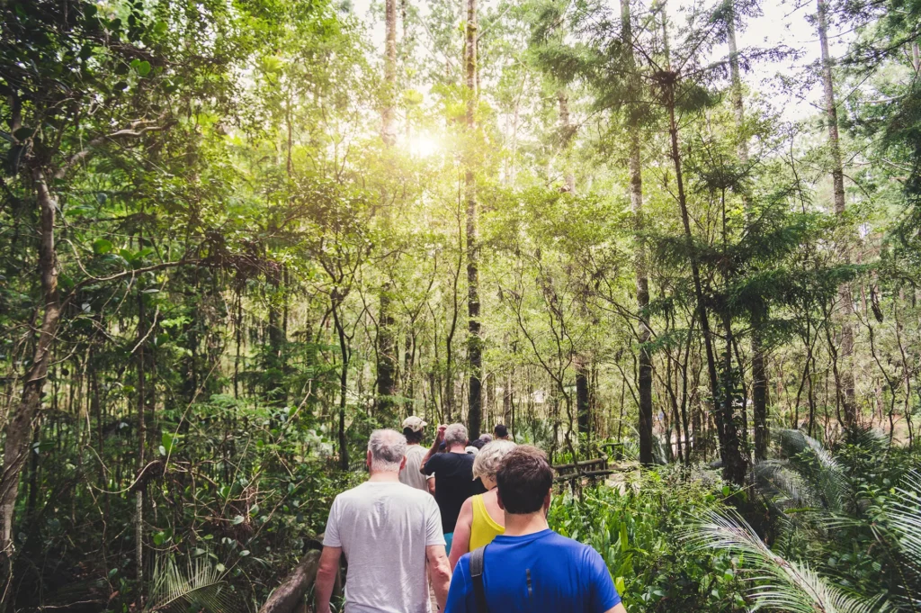 group of people hiking in the woods